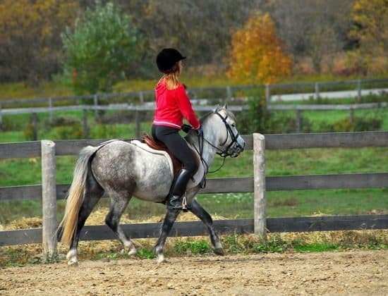 Close By - Things to do in Fermanagh