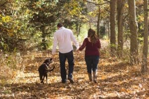 Top 7 Dog Friendly Walks in Fermanagh
